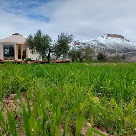 El Atico De La Casa Viva